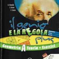 Il genio e la regola plus: Geometria A