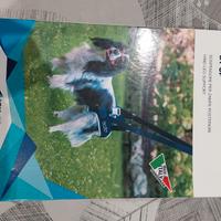 Sospensore per zampe posteriore taglia M, marca Ba