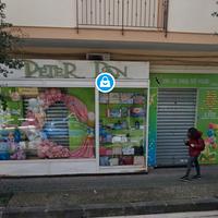 Attività di cartoleria e Ballon Art