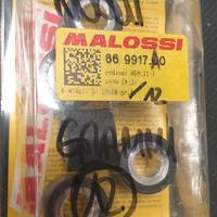 rulli variatore malossi 669917.A0 Honda SH300