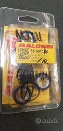 rulli variatore malossi 669917.A0 Honda SH300