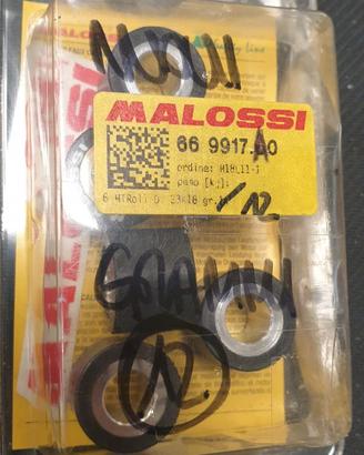 rulli variatore malossi 669917.A0 Honda SH300