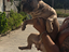 Immagine 5