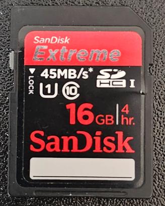 SANDISK EXTREME SCHEDSDHC 1
