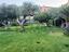 Immagine 20