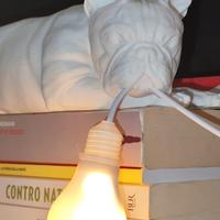 Lampada Bulldog