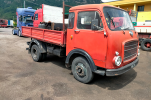 Om Lupetto cassonato