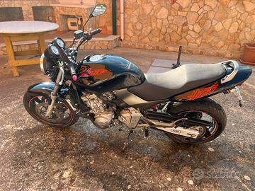 Honda hornet 2001