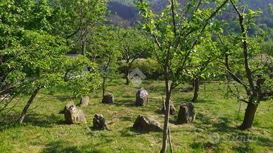 TER. AGRICOLO A TRAVES