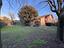 Immagine 12