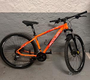 MTB 29 Lee Cougan