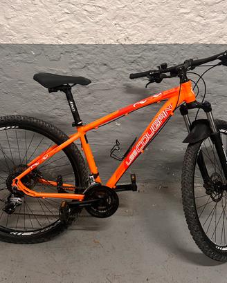 MTB 29 Lee Cougan