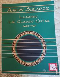 Learning the classical Guitar, Aaron Shearer