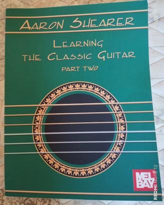 Learning the classical Guitar, Aaron Shearer