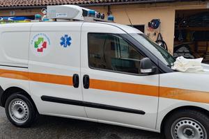 Doblo cargo trasporto organi emoderivati