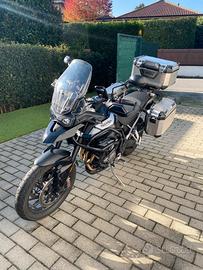 Triumph Tiger 900 GT - 2021