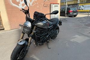 Benelli Leoncino 800
