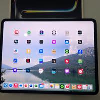 ipad pro 13 m4 wifi+5g 256gb