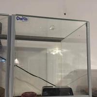 Due teche uguali in vetro con apertura verticale