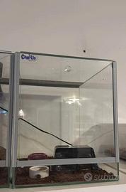 Due teche uguali in vetro con apertura verticale