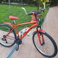 Mountain bike