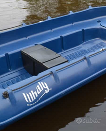 Gavone seduta barche whaly