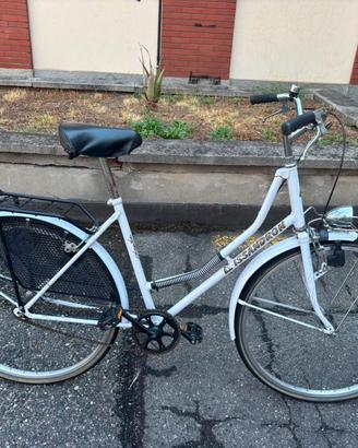 Bicicletta monomarcia – studenti (Torino)