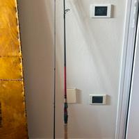 Canna da pesca spinning