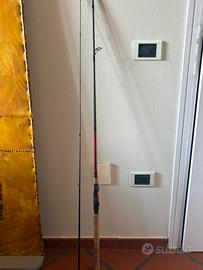 Canna da pesca spinning