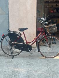 Bicicletta da donna Molinari