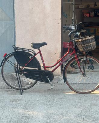 Bicicletta da donna Molinari