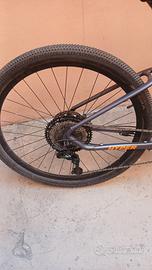 Bici elettrica TORPADO