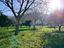 Immagine 24