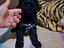 Immagine 4