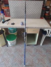 canna surf casting mitchell