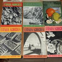 LOTTO RIVISTE  L' ITALIA AGRICOLA