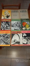 LOTTO RIVISTE  L' ITALIA AGRICOLA