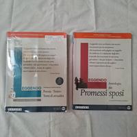 Libro Leggendo Poesia Teatro + Promessi sposi