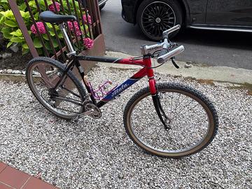 BICI MTB