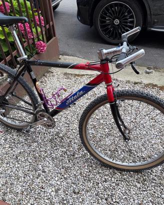 BICI MTB