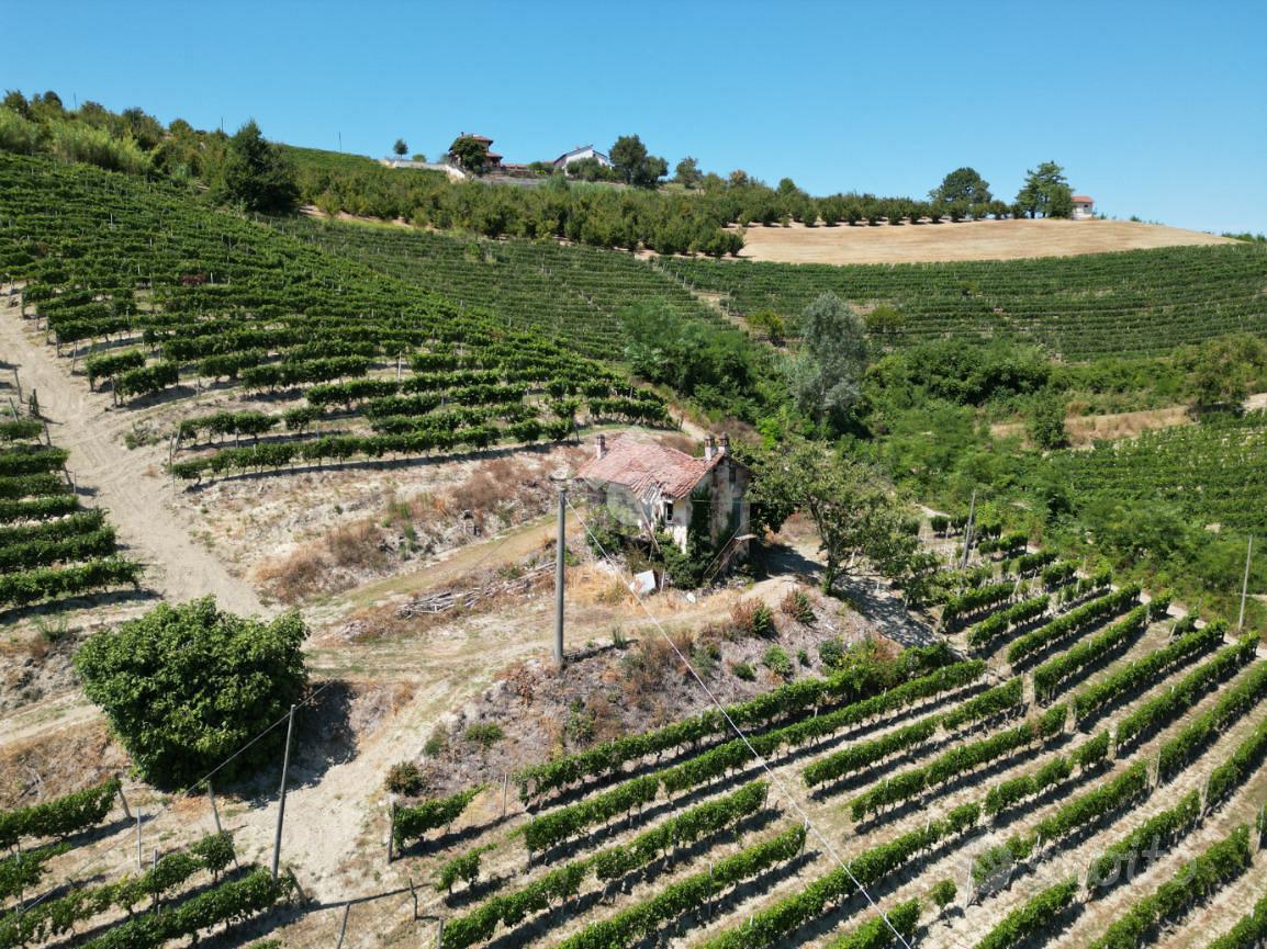 TERRENO A ALBA - View 5