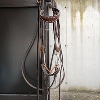 testiera frontalino western