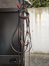 testiera frontalino western