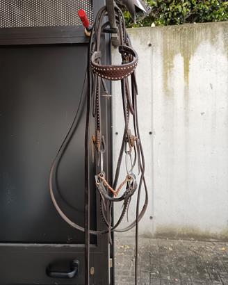 testiera frontalino western