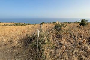 Terreno santa marinella
