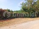 terreno-agricolo-beinasco-cod-rif-3248549vcg-b