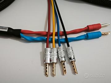 Cavo di potenza Biwiring by Salaantonio