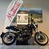 benelli-leoncino-500-trail