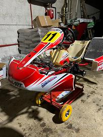 Go kart birel art