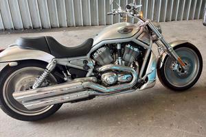 harley Davidson V-ROD 100th ANNIVERSAY amatore 